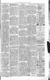 Sevenoaks Chronicle and Kentish Advertiser Friday 20 May 1881 Page 3