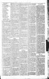 Sevenoaks Chronicle and Kentish Advertiser Friday 20 May 1881 Page 7