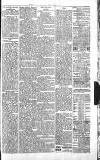 Sevenoaks Chronicle and Kentish Advertiser Friday 10 June 1881 Page 3