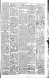 Sevenoaks Chronicle and Kentish Advertiser Friday 24 June 1881 Page 3