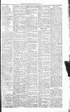 Sevenoaks Chronicle and Kentish Advertiser Friday 29 July 1881 Page 7