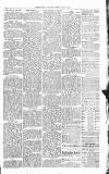 Sevenoaks Chronicle and Kentish Advertiser Friday 05 August 1881 Page 3