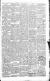 Sevenoaks Chronicle and Kentish Advertiser Friday 19 August 1881 Page 7