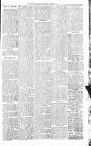 Sevenoaks Chronicle and Kentish Advertiser Friday 07 October 1881 Page 3