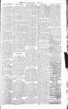 Sevenoaks Chronicle and Kentish Advertiser Friday 14 October 1881 Page 7