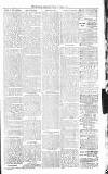 Sevenoaks Chronicle and Kentish Advertiser Friday 21 October 1881 Page 3