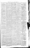 Sevenoaks Chronicle and Kentish Advertiser Friday 11 November 1881 Page 3