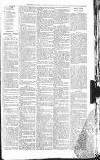 Sevenoaks Chronicle and Kentish Advertiser Friday 11 November 1881 Page 7