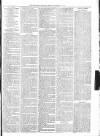 Sevenoaks Chronicle and Kentish Advertiser Friday 18 November 1881 Page 7