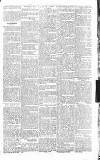 Sevenoaks Chronicle and Kentish Advertiser Friday 25 November 1881 Page 5