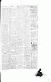 Sevenoaks Chronicle and Kentish Advertiser Friday 13 January 1882 Page 3