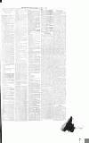 Sevenoaks Chronicle and Kentish Advertiser Friday 27 January 1882 Page 7