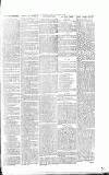 Sevenoaks Chronicle and Kentish Advertiser Friday 08 February 1884 Page 7