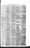 Sevenoaks Chronicle and Kentish Advertiser Friday 21 March 1884 Page 7