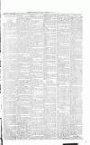 Sevenoaks Chronicle and Kentish Advertiser Friday 10 February 1888 Page 3