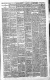 Sevenoaks Chronicle and Kentish Advertiser Friday 11 January 1889 Page 3