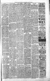 Sevenoaks Chronicle and Kentish Advertiser Friday 18 January 1889 Page 3
