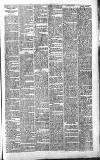 Sevenoaks Chronicle and Kentish Advertiser Friday 25 January 1889 Page 3