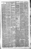 Sevenoaks Chronicle and Kentish Advertiser Friday 22 February 1889 Page 3