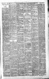 Sevenoaks Chronicle and Kentish Advertiser Friday 08 March 1889 Page 3