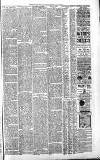 Sevenoaks Chronicle and Kentish Advertiser Friday 08 March 1889 Page 7