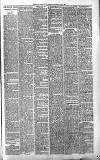 Sevenoaks Chronicle and Kentish Advertiser Friday 21 June 1889 Page 3