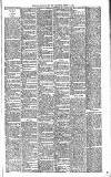 Sevenoaks Chronicle and Kentish Advertiser Friday 31 January 1890 Page 3