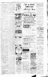 Sevenoaks Chronicle and Kentish Advertiser Friday 16 January 1891 Page 3
