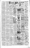 Sevenoaks Chronicle and Kentish Advertiser Friday 24 February 1899 Page 3