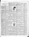 Sevenoaks Chronicle and Kentish Advertiser Friday 18 March 1910 Page 3