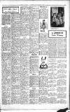 Sevenoaks Chronicle and Kentish Advertiser Friday 14 October 1910 Page 3