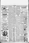 Sevenoaks Chronicle and Kentish Advertiser Friday 31 August 1923 Page 10