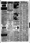 Sevenoaks Chronicle and Kentish Advertiser Friday 24 January 1969 Page 3