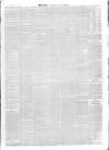Hemel Hempstead Gazette and West Herts Advertiser Saturday 20 February 1869 Page 3