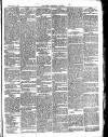 Hemel Hempstead Gazette and West Herts Advertiser Saturday 10 January 1874 Page 5