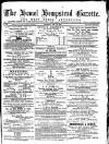 Hemel Hempstead Gazette and West Herts Advertiser Saturday 18 December 1875 Page 1