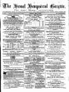 Hemel Hempstead Gazette and West Herts Advertiser Saturday 27 May 1876 Page 1