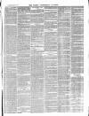 Hemel Hempstead Gazette and West Herts Advertiser Saturday 08 March 1879 Page 7