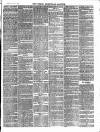 Hemel Hempstead Gazette and West Herts Advertiser Saturday 15 January 1881 Page 7