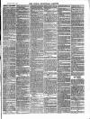 Hemel Hempstead Gazette and West Herts Advertiser Saturday 05 February 1881 Page 7