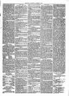 Market Rasen Weekly Mail Saturday 04 January 1879 Page 5