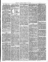 Market Rasen Weekly Mail Saturday 22 February 1879 Page 3