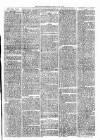 Market Rasen Weekly Mail Saturday 22 March 1879 Page 3