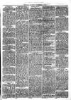 Market Rasen Weekly Mail Saturday 13 December 1879 Page 3