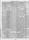 Buckingham Advertiser and Free Press Saturday 07 November 1874 Page 6