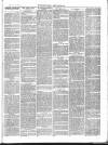 Buckingham Advertiser and Free Press Saturday 03 January 1880 Page 7