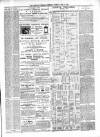 Leighton Buzzard Observer and Linslade Gazette Tuesday 03 March 1885 Page 3