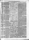 Leighton Buzzard Observer and Linslade Gazette Tuesday 07 April 1885 Page 3