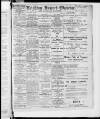 Leighton Buzzard Observer and Linslade Gazette Tuesday 05 February 1918 Page 1