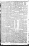 Halifax Courier Saturday 06 January 1877 Page 3